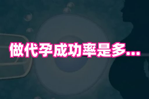 长春助孕网 3